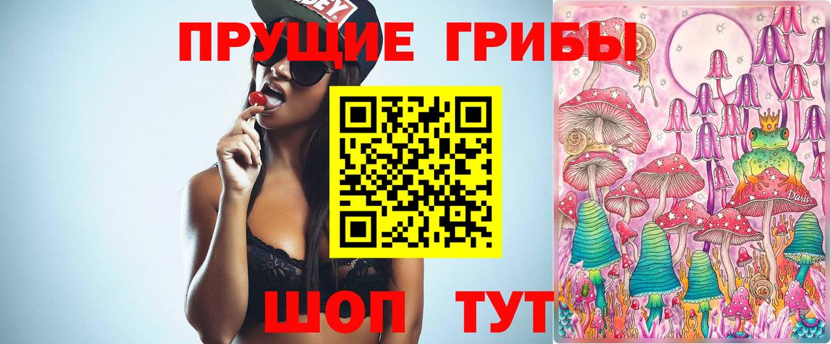 Псилоцибиновые грибы Cubensis Ликино-Дулёво
