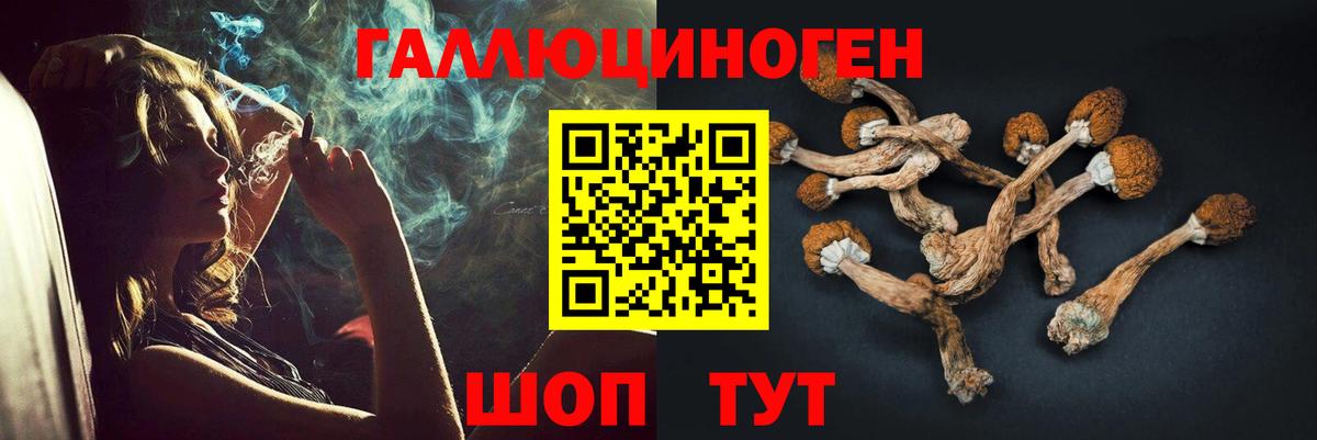 Галлюциногенные грибы прущие грибы  Вход с VPN  Ликино-Дулёво 
